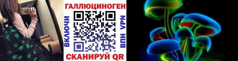 закладки  Владикавказ  Галлюциногенные грибы Cubensis 