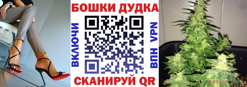 Конопля OG Kush  где найти   Владикавказ 